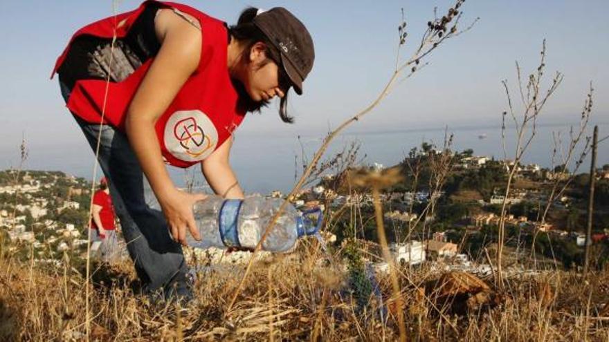 Voluntarios de Gea regaban esta semana la zona reforestada del Monte Victoria o de las Tres Letras.