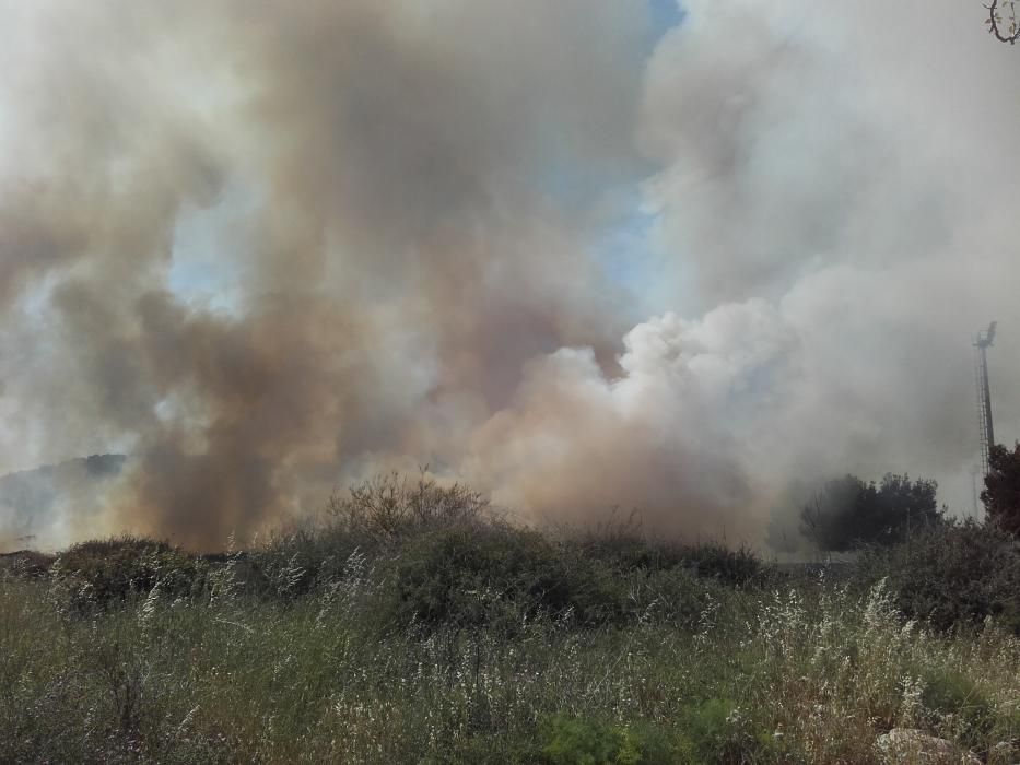 Alarma en Magaluf por un incendio en un descampado