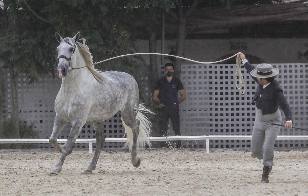 Cabalcor puede con la lluvia y el Covid