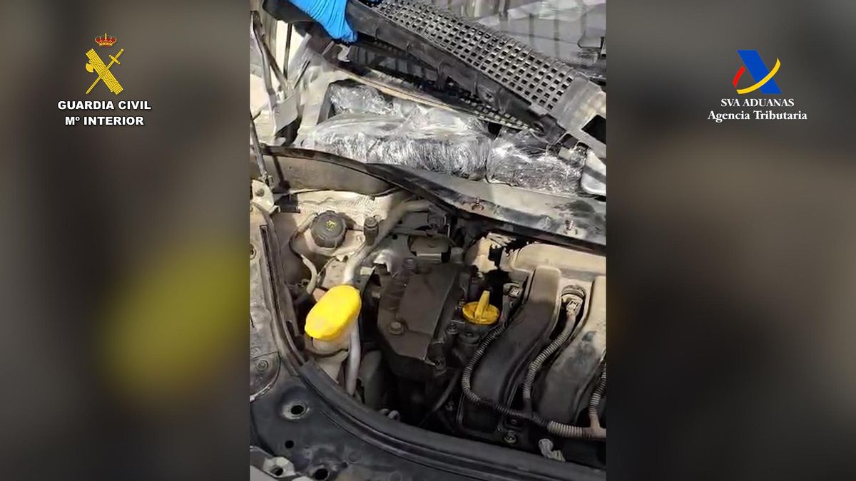 Incautación de 32,25 kilogramos de hachís en el Puerto de La Luz de Las Palmas