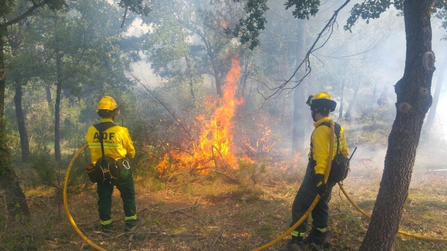 Sant Fruitós aprova una declaració de suport al futur de les Agrupacions de Defensa Forestal