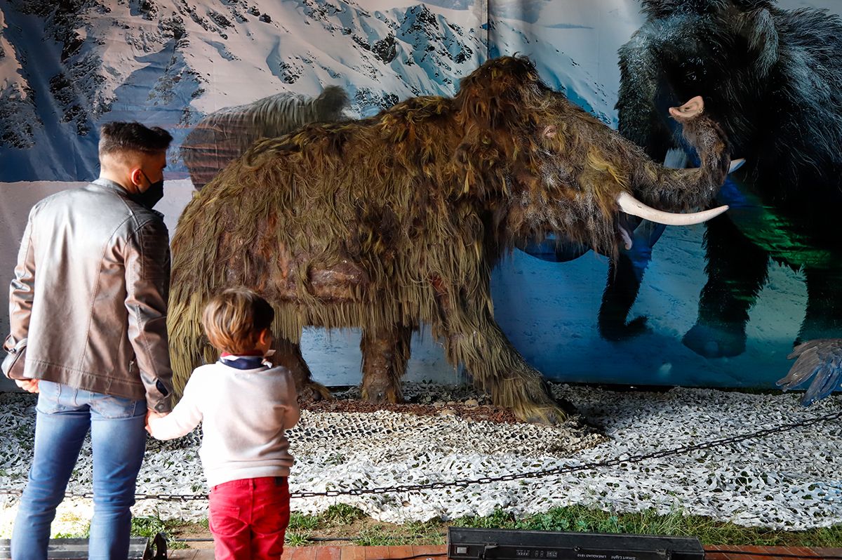 DINO EXPO XXL llega a Córdoba