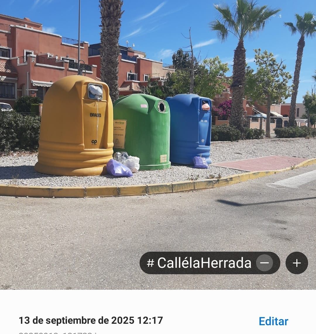 Imágenes captadas por los vecinos de contenedores desbordados