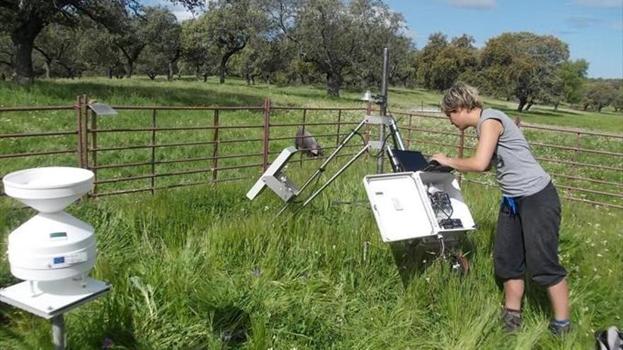 Teledetección para controlar la dehesa