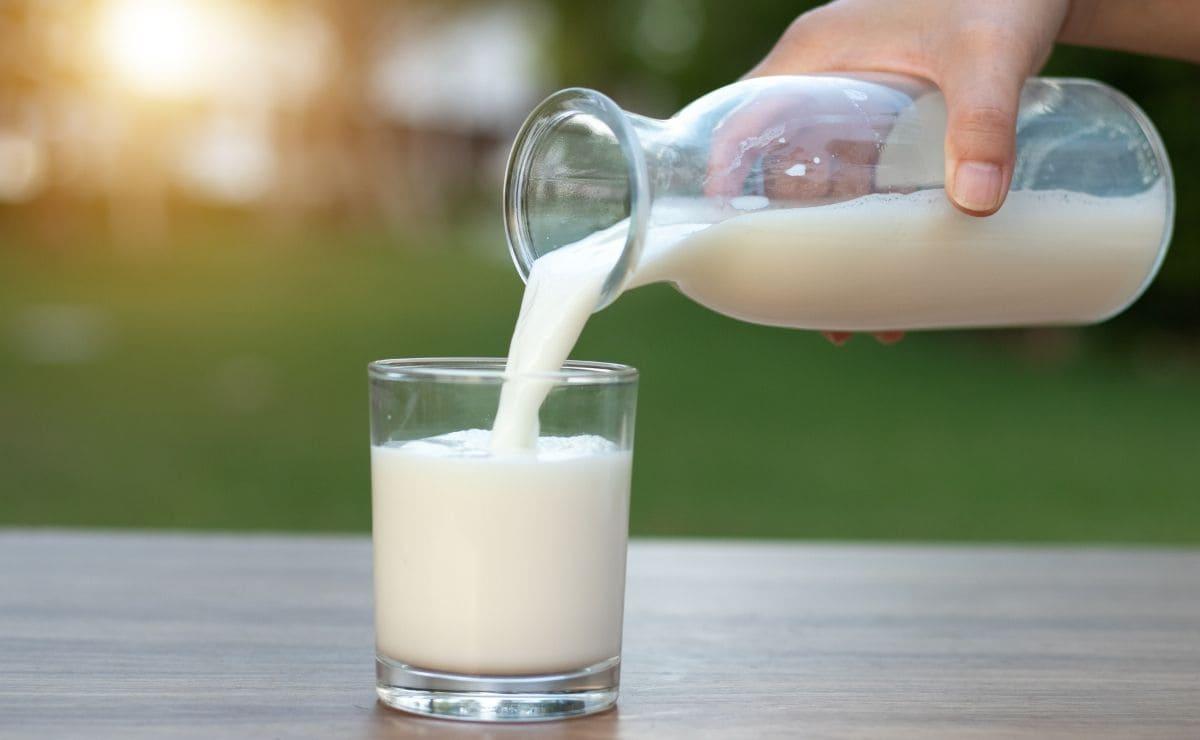 Tomar un vaso de leche caliente antes de acostarse puede ser un hábito relajante que facilite ese descanso.