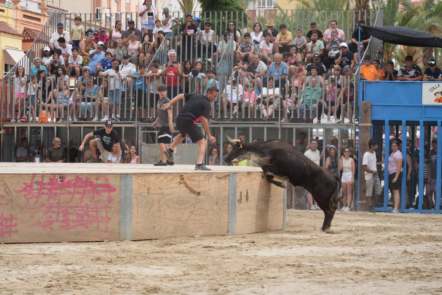 El Grau da inicio a las fiestas de Sant Pere con pólvora, bous y música