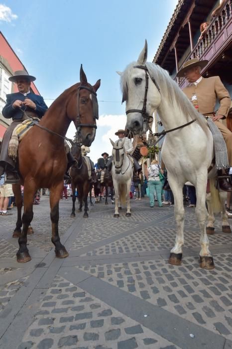 21-10-2018 TEROR. Romería del Rocío a la ...