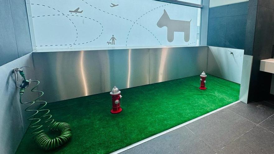 Baño del Aeropuerto de Lisboa para perros