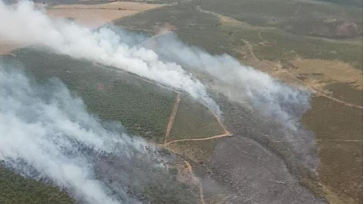 Incendio en Carrascal