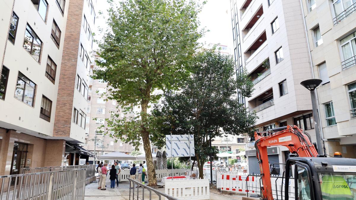 Árbol de Calexón Balado, la placita entre Rosalía de Castro y Areal, que se mantendrá tras la humanización