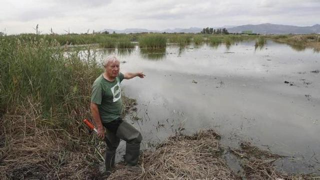 Un representante de Agró, en una zona del Marjal de Almardà-Almenara.
