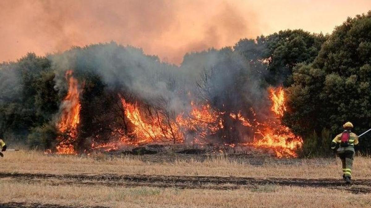 Brigadas este verano luchando contra uno de los incendios desatados en Aragón.