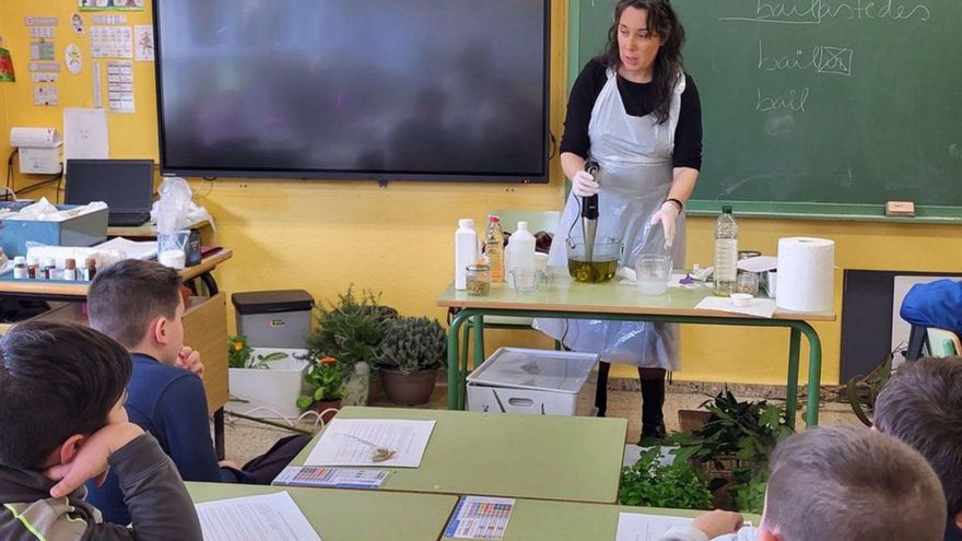 Alumnado de Sada aprende a identificar plantas de jabón