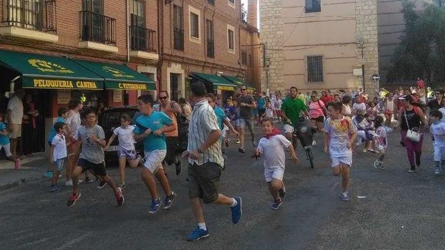 Un carretón persigue por la calle a los participantes en el encierro ecológico y, a la derecha, un pequeño cita a uno de los astados del festejo