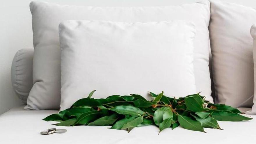 Poner una hoja de laurel bajo la almohada: la forma de combatir estas tres enfermedades