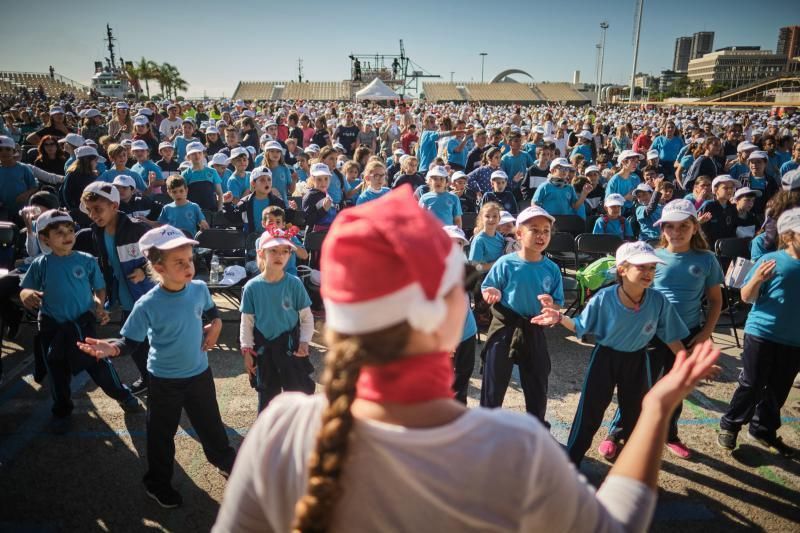 Cuarto concierto de Navidad para escolares