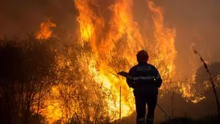 Prohibidas las quemas forestales hasta nuevo aviso