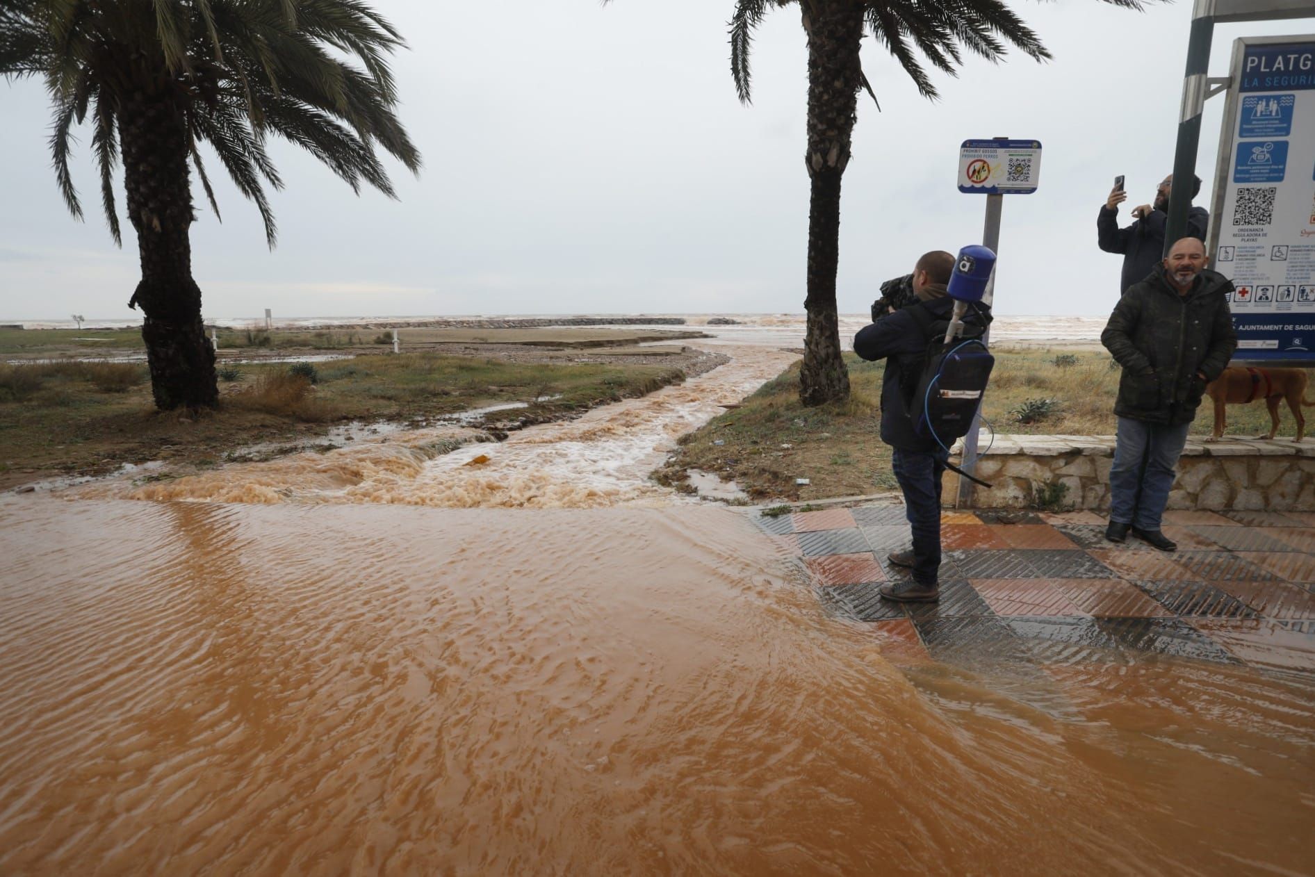 Las imágenes del paso del temporal de luvia por la Comunitat Valenciana