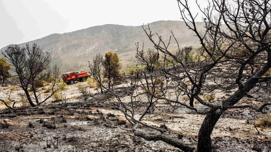 El Ministerio inyectará 250.000 euros para regenerar las sierras quemadas