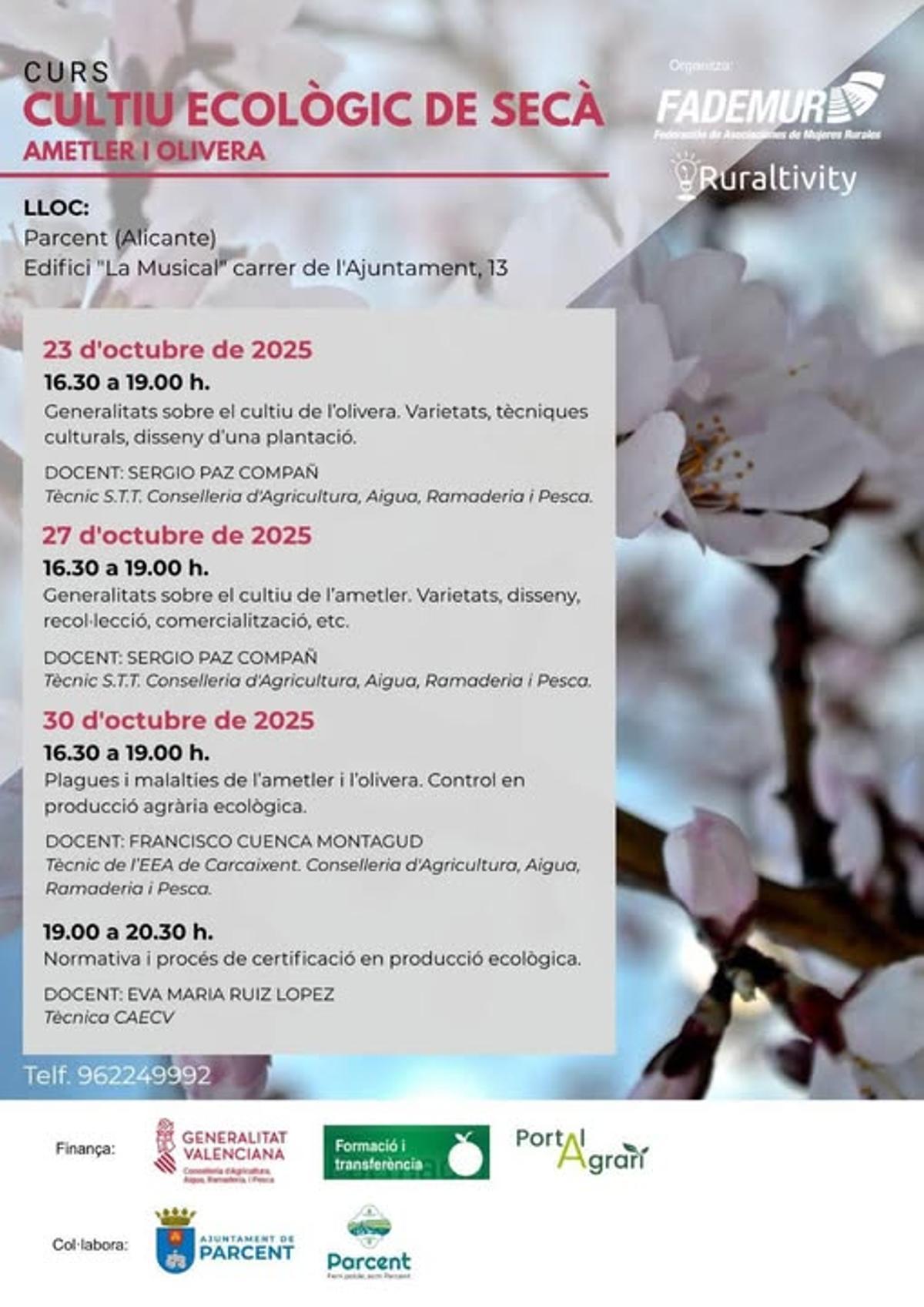 Cartel oficial del curso