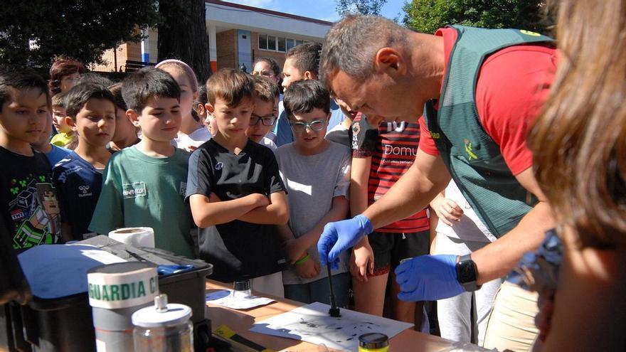 Exhibición de la Guardia Civil en el colegio Xesús Golmar de Lalín