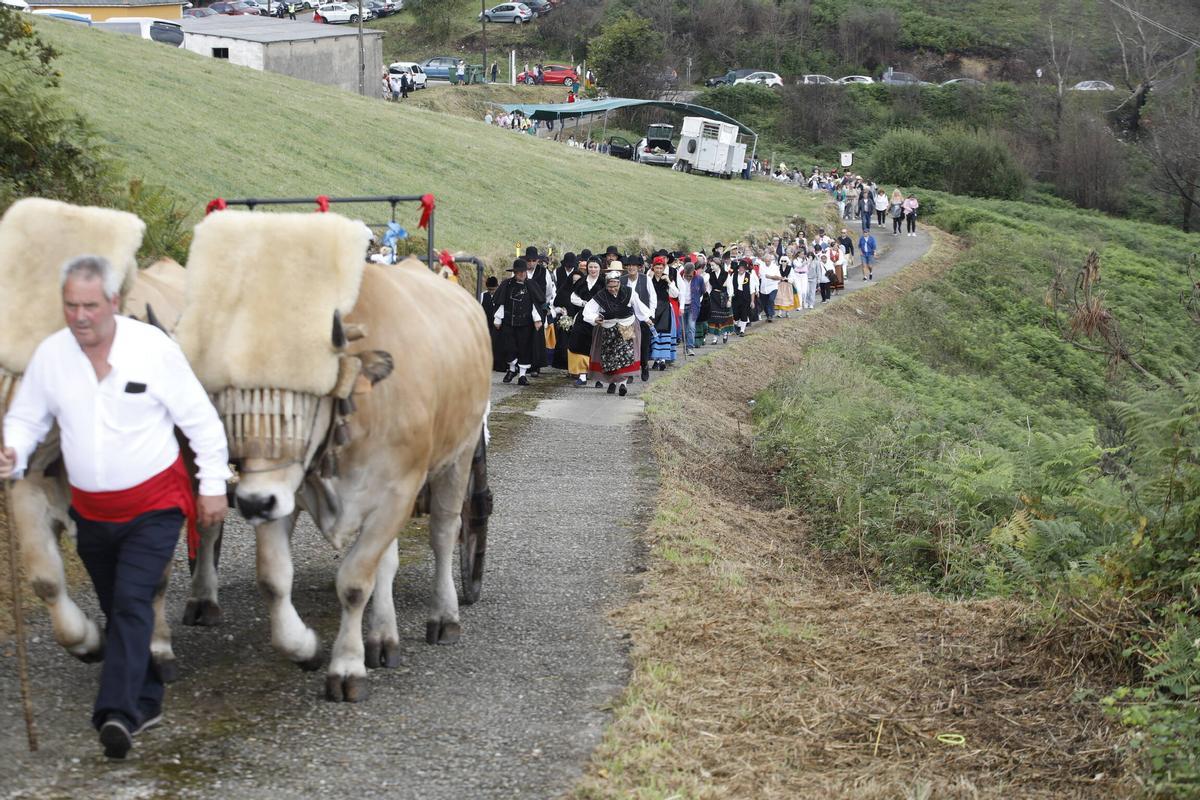 En imágenes: Así es la boda vaqueira que cada último domingo de julio llena la braña de Aristébano