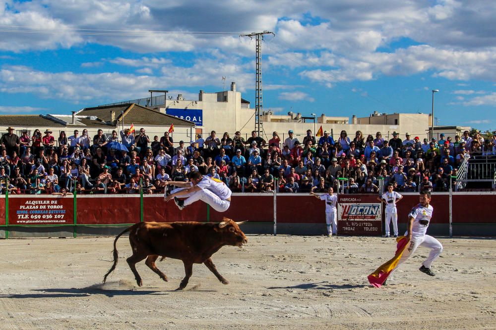 El concurso de recortadores vuelve tras 30 años de ausencia