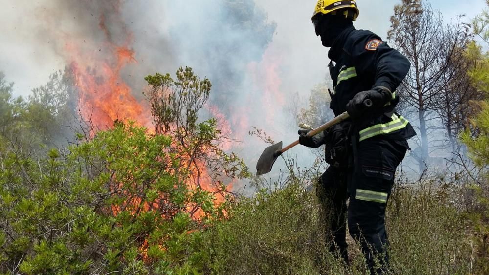 Feuerwehr bekämpft Waldbrand in Sant Elm