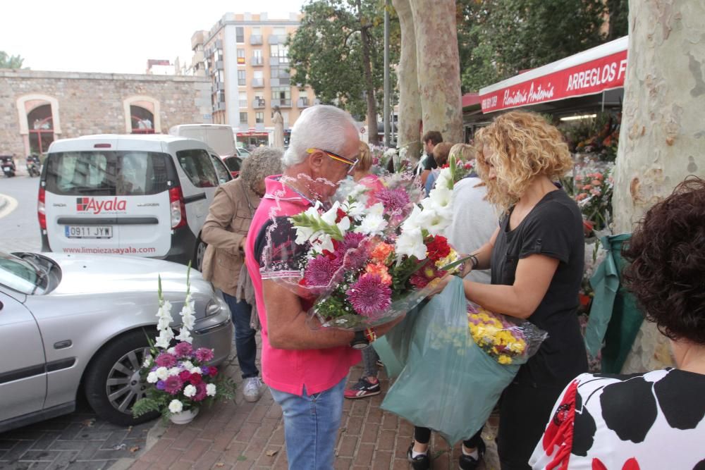 Preparativos del Día de Todos los Santos en el Cem