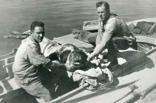 Memoria de la isla | Lo que las palabras esconden