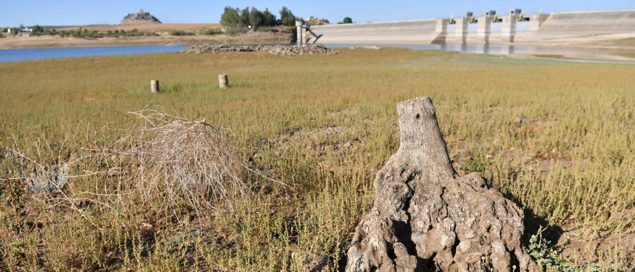 Estado actual en el que se encuentra el embalse de Sierra Boyera.