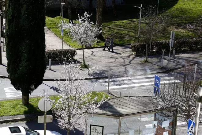 Cuando Santiago vuelve a florecer tras la lluvia