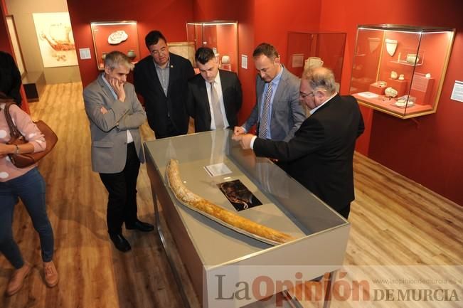 Muestra ´MAM X´ en el Museo Arqueológico de Murcia