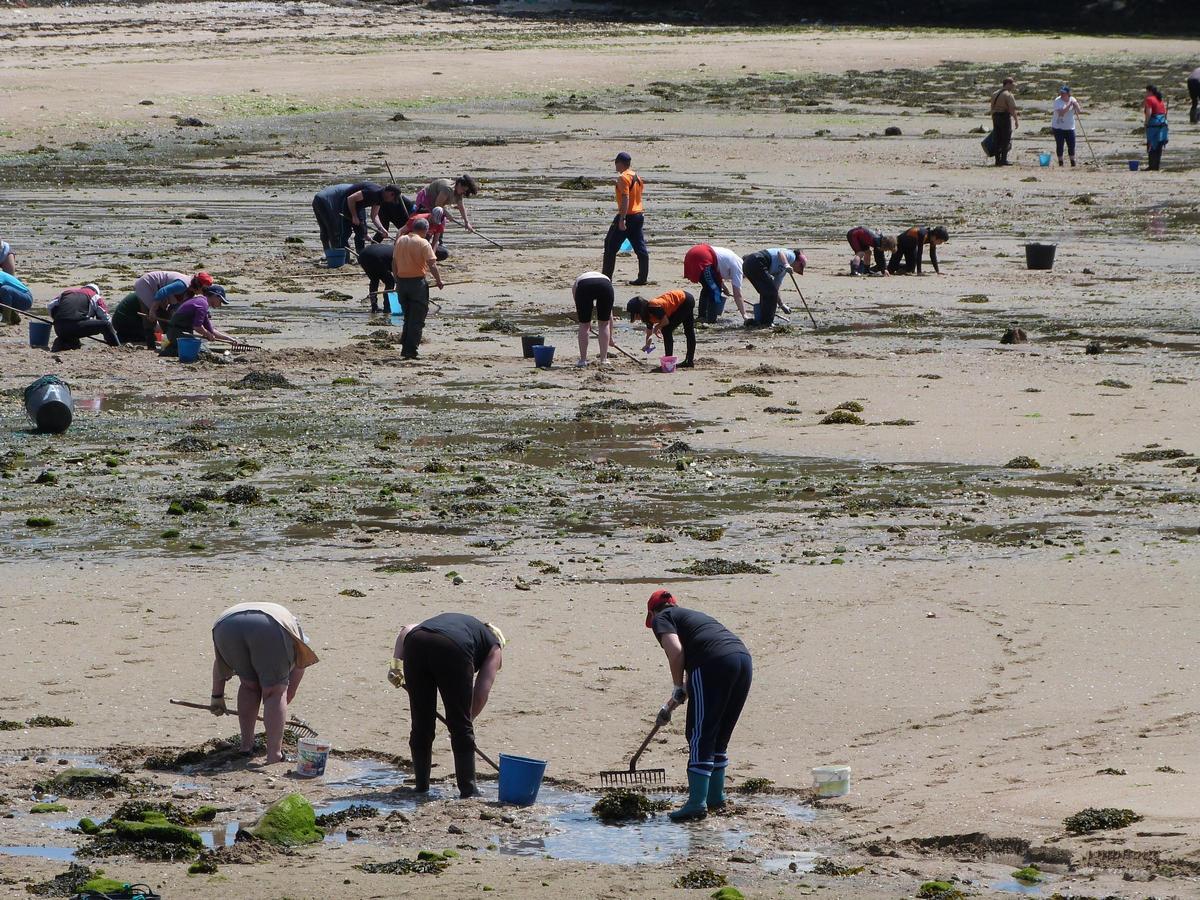Mariscadoras faenando nos bancos da ría de Camariñas
