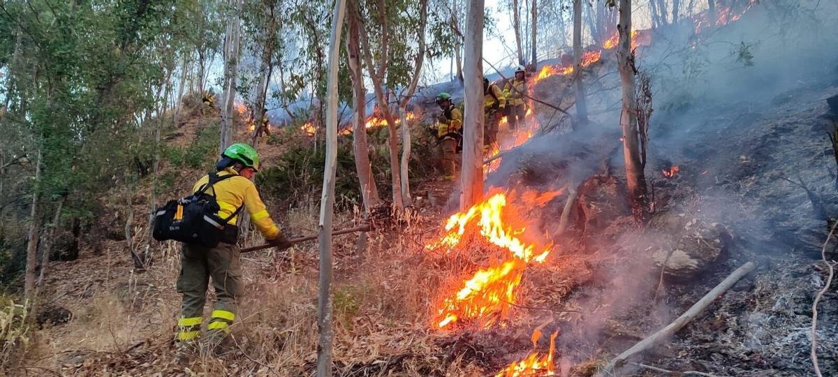 Miembros del Infoca trabajan en la extinción del incendio forestal de Niebla. Miembros del Infoca trabajan en la extinción del incendio forestal de Niebla.