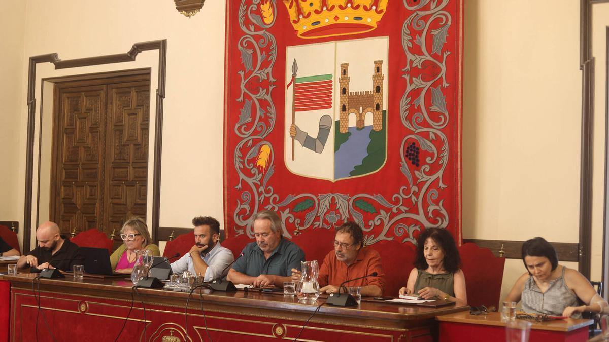 Un Pleno del Ayuntamiento.