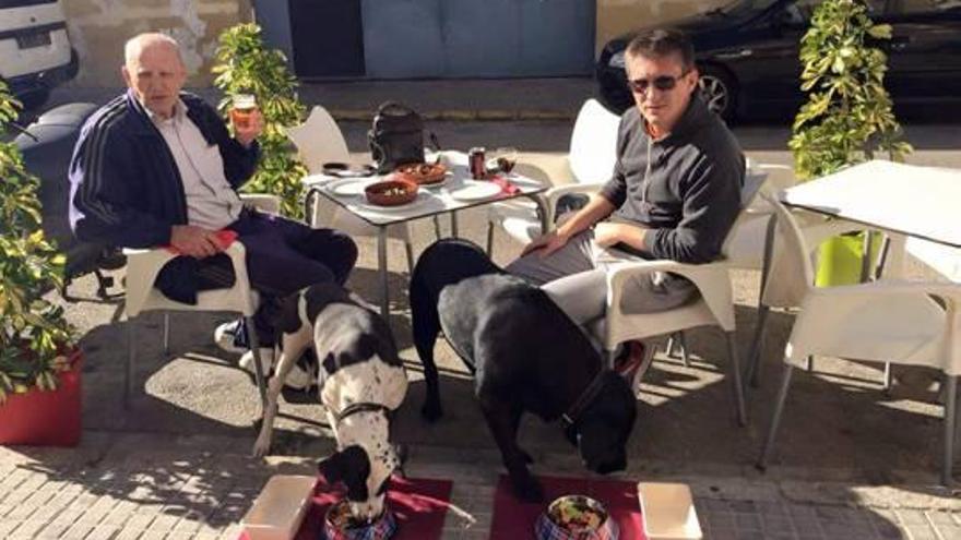 Al restaurante con la mascota