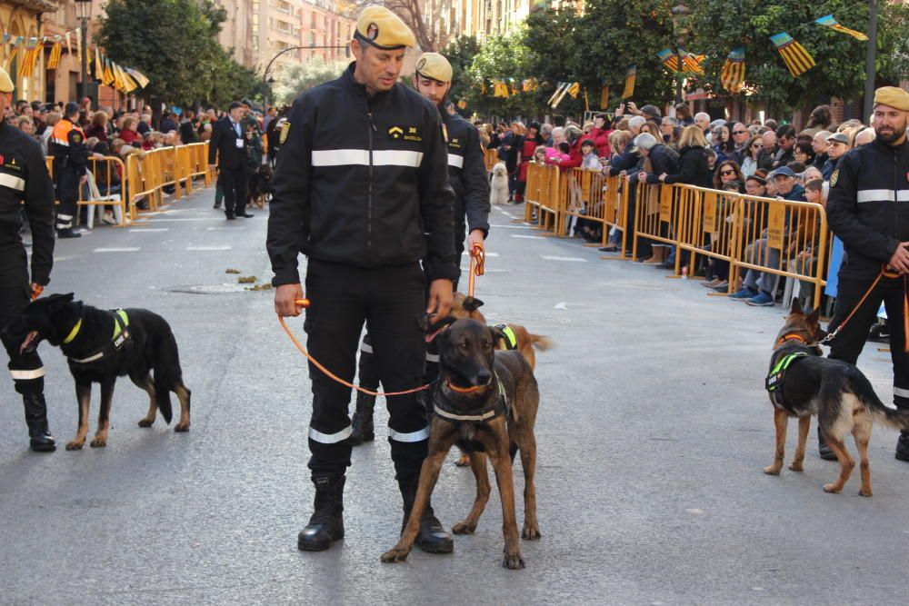 Fiesta de Sant Antoni en la ciudad de València