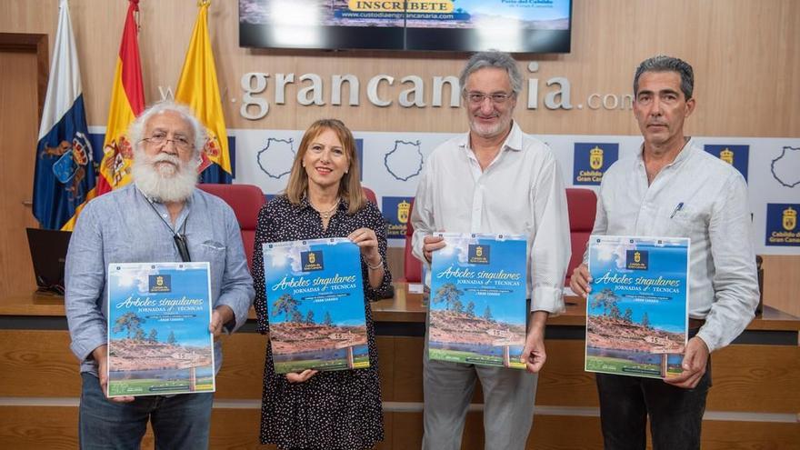 El Cabildo cataloga 85 árboles de Gran Canaria como singulares