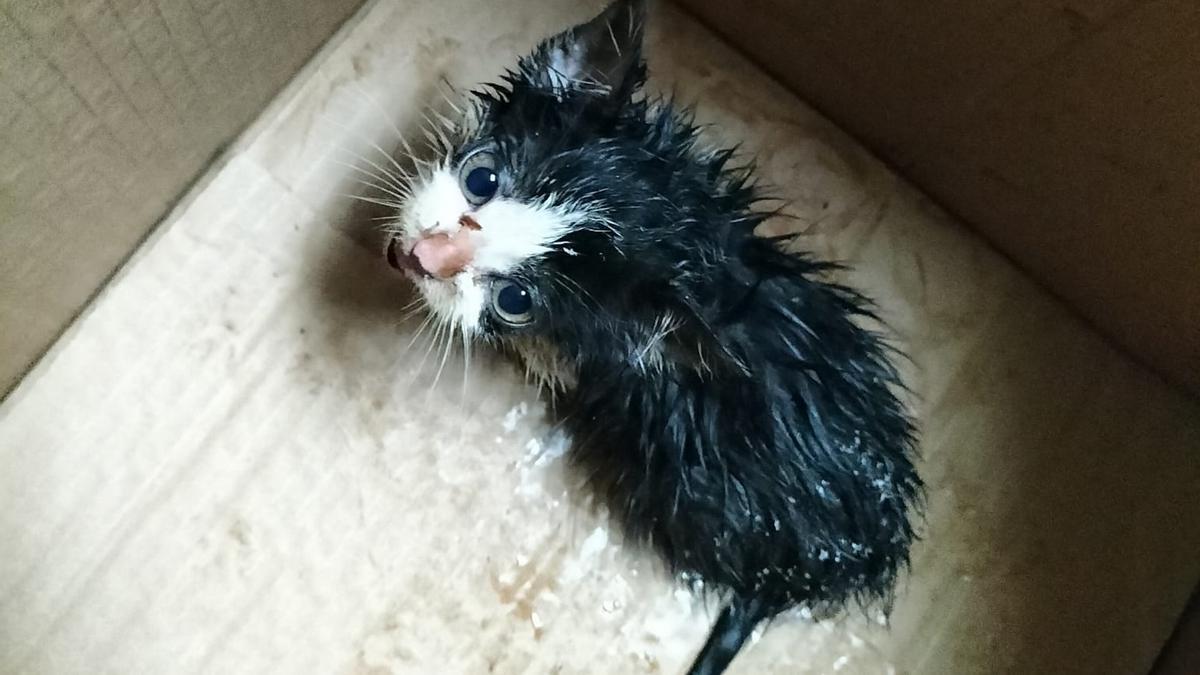 El pequeño tras su rescate.