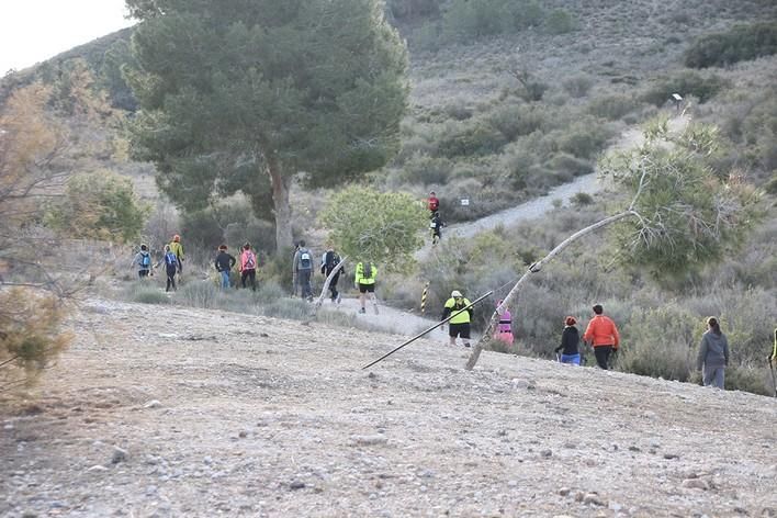 San Jorge Dragon en La Alcayna