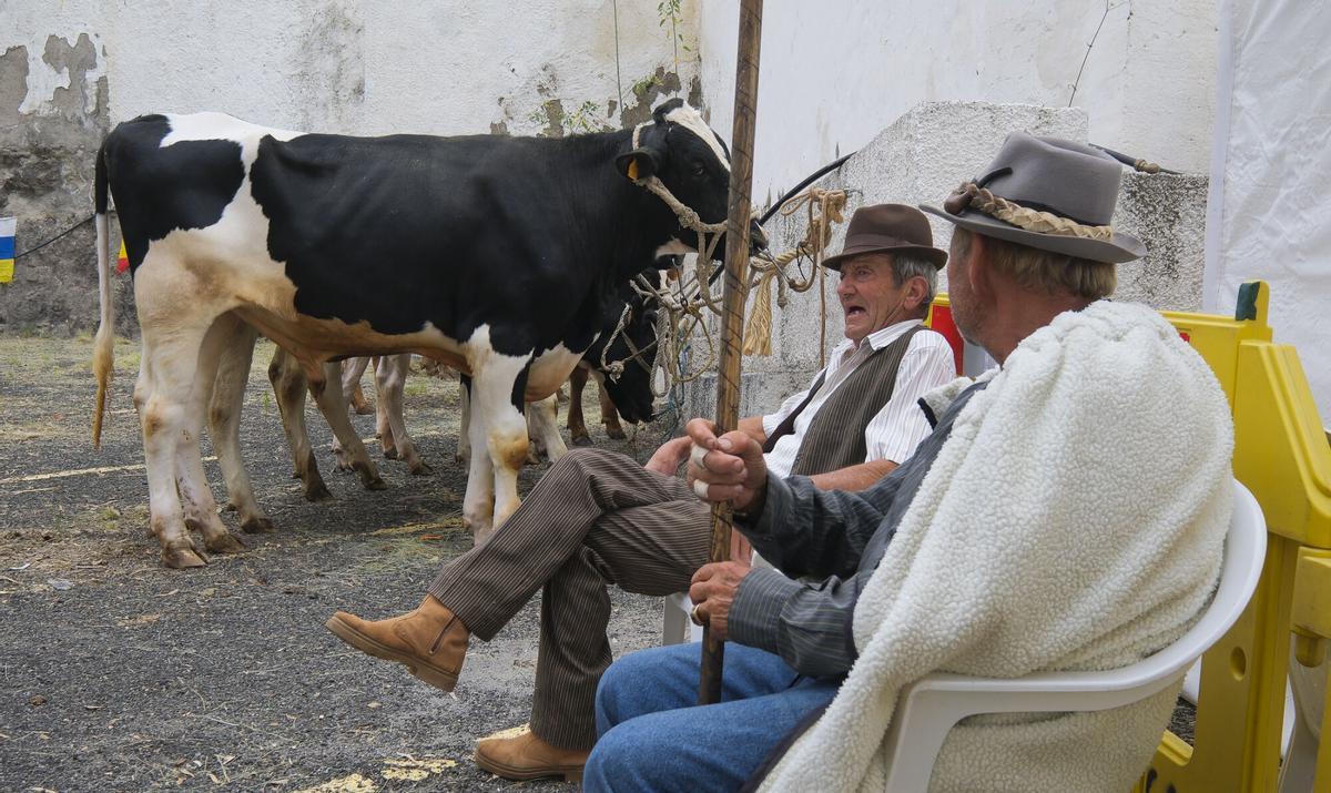 Feria El Sabor del Queso