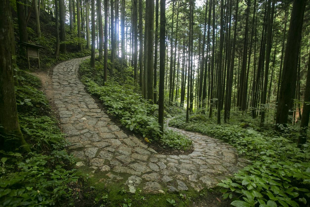Nakasendo significa 'camino entre montañas'.