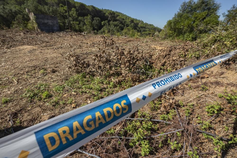 La plataforma Aturem la C-32 denuncia que la constructora segueix treballant