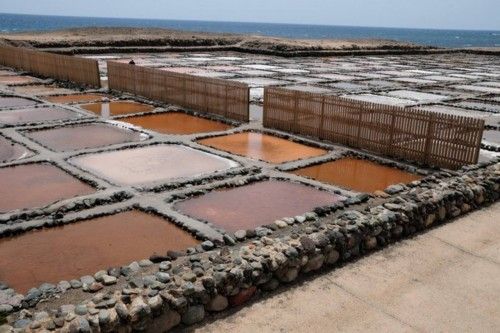 Reportaje en las Salinas de Tenefe en Pozo Izquierdo