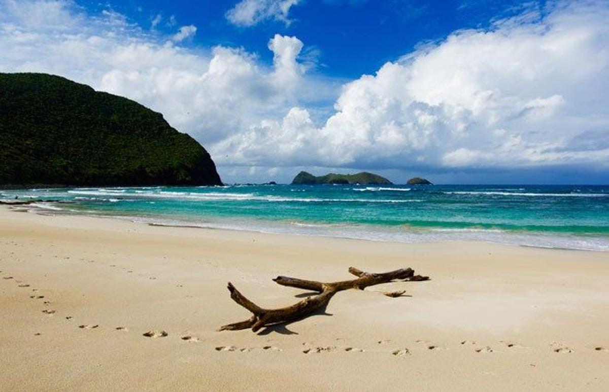 Ned's Beach