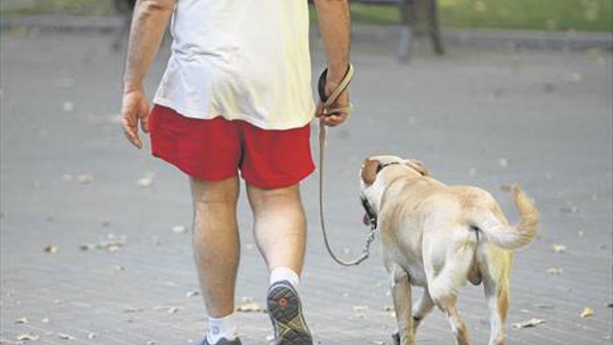 Badajoz, con unos 25.000 perros, es la ciudad con más canes por habitante