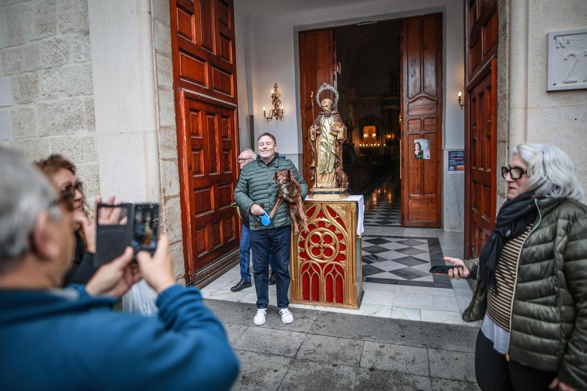 Las mejores imágenes de la bendición de animales de San Antón en Amoradí 2026 están aquí