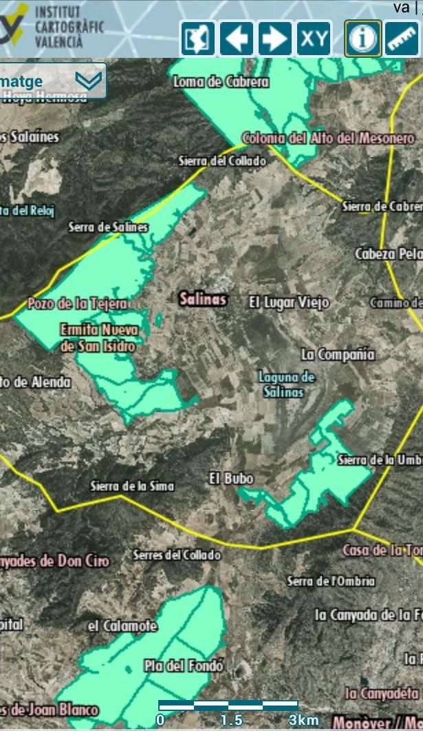 Mapa de las plantas solares (en verde) proyectadas en el término municipal de Salinas.
