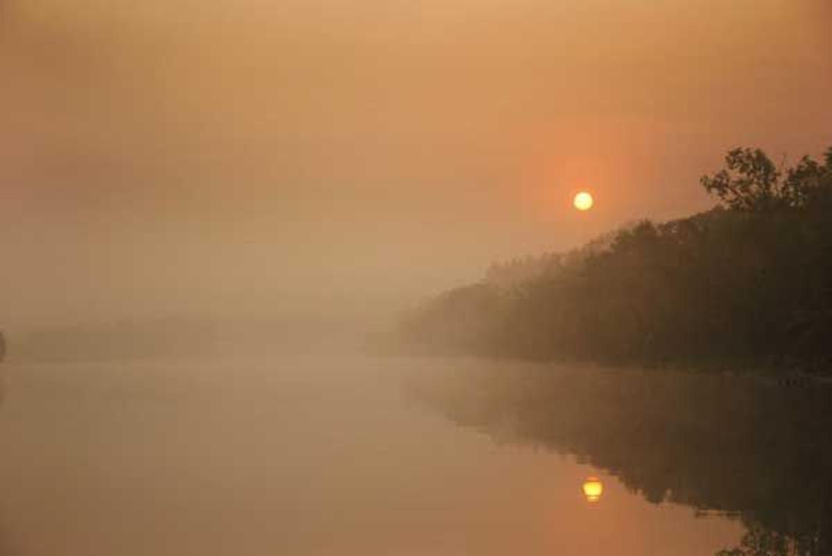 El libro de la selva